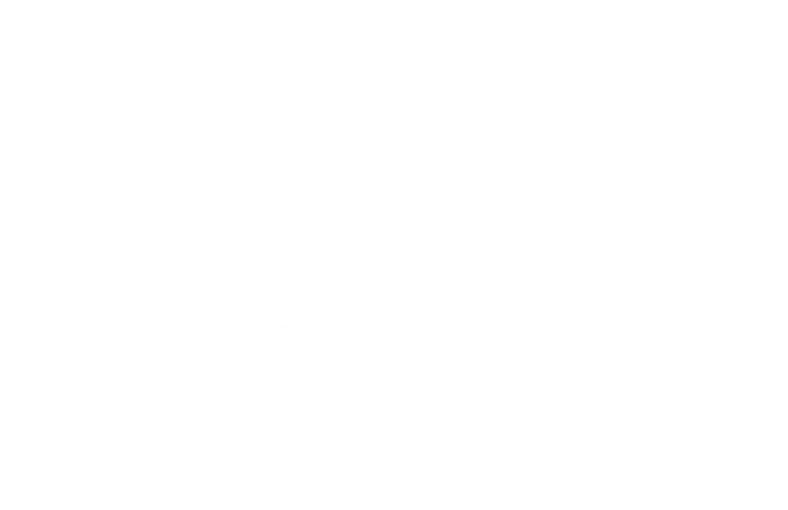 LOGO 2A ORGANISATION BLANC